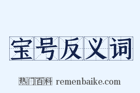 宝号反义词是什么意思的图片